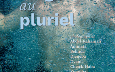 Exposition photo : Du Singulier Au Pluriel